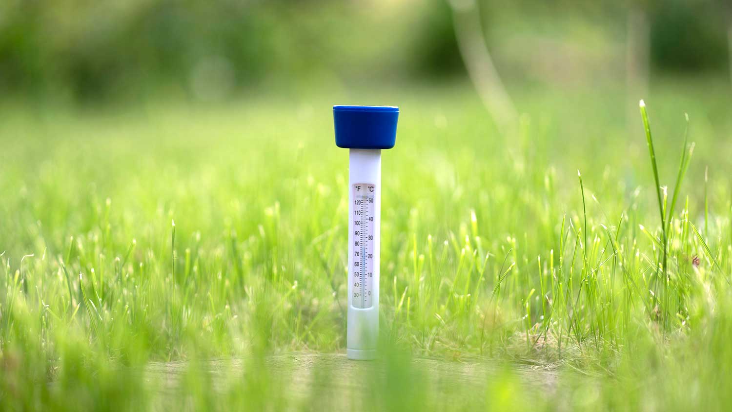Thermometer sitting on the lawn monitoring soil temperature