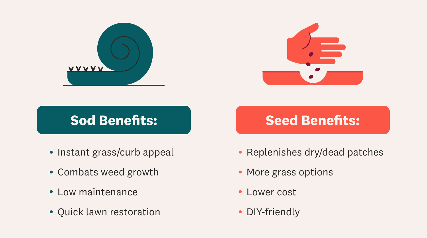 Sod vs Seed Benefits Infographic