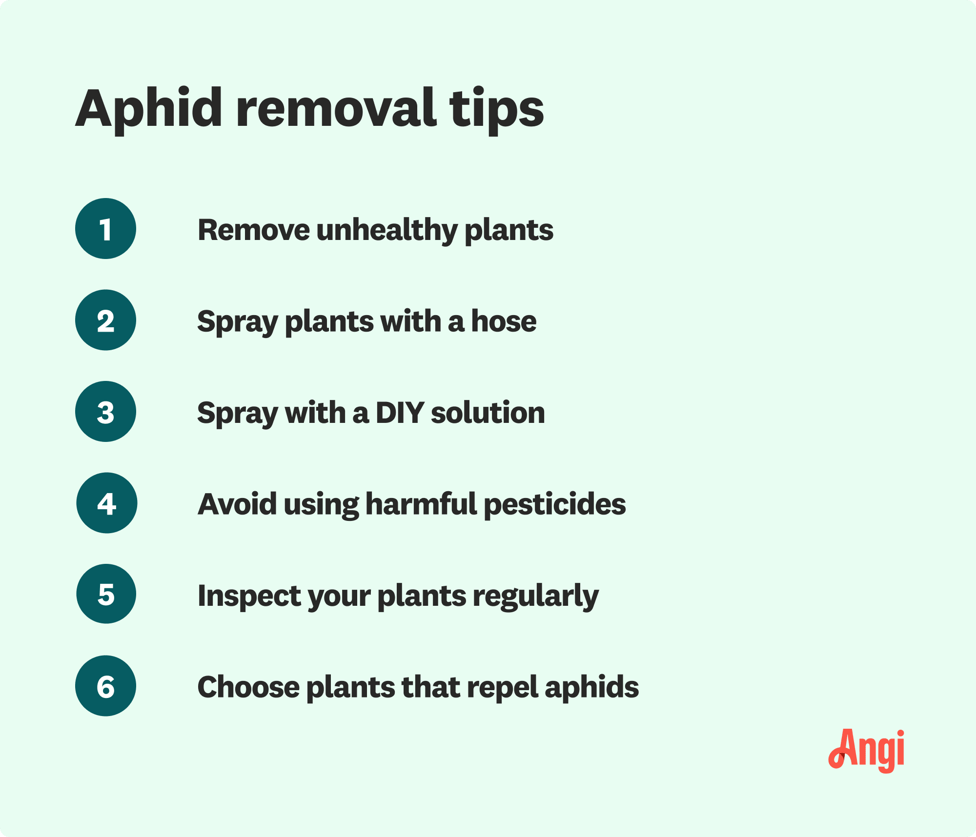 6 tips to removing aphids, including spraying plants with a hose and inspecting plants regularly