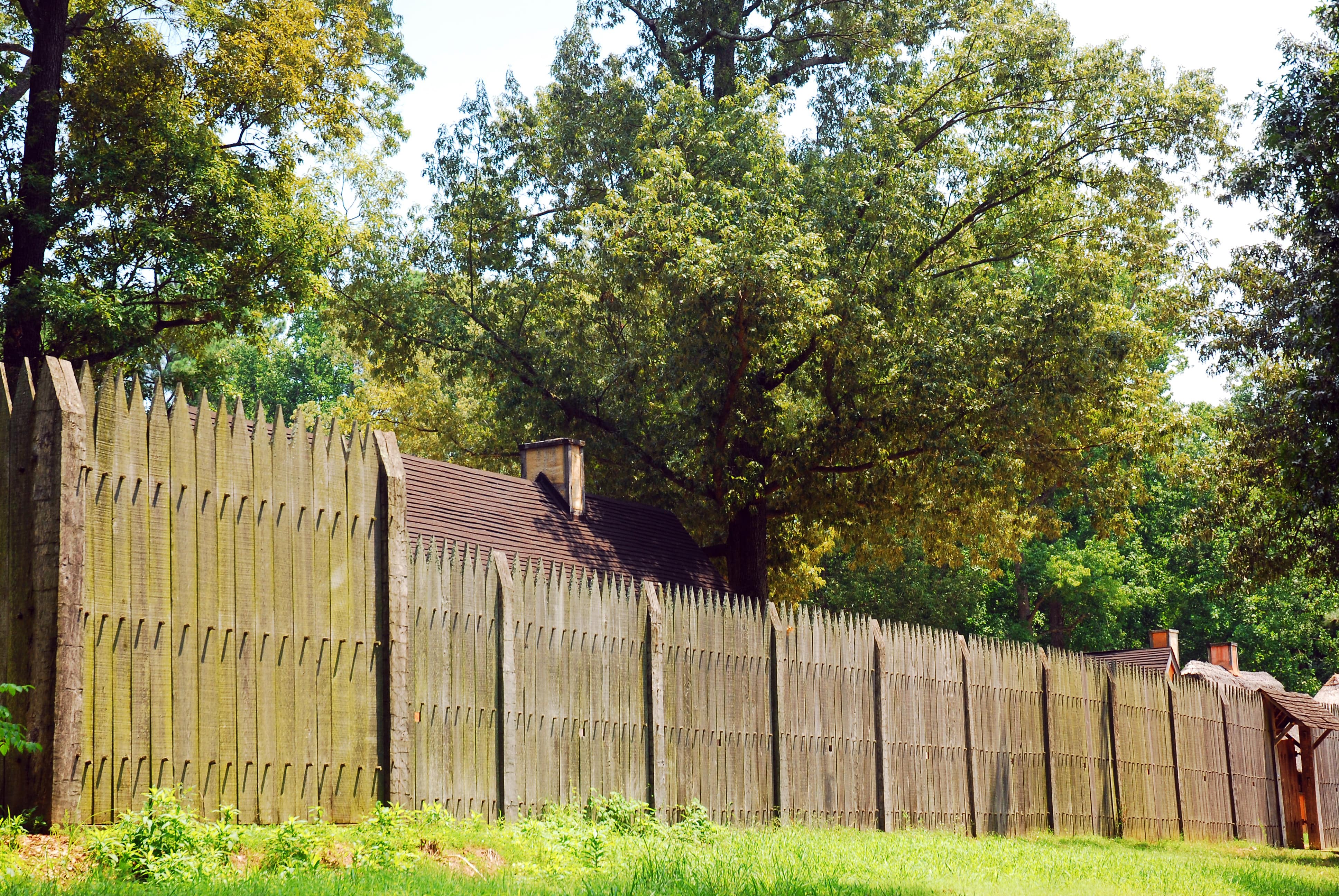 Wooden stockade fence surrounding large yard