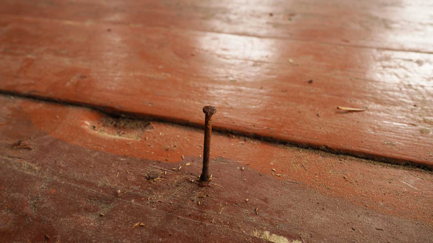 Nail sticking out of hardwood floor