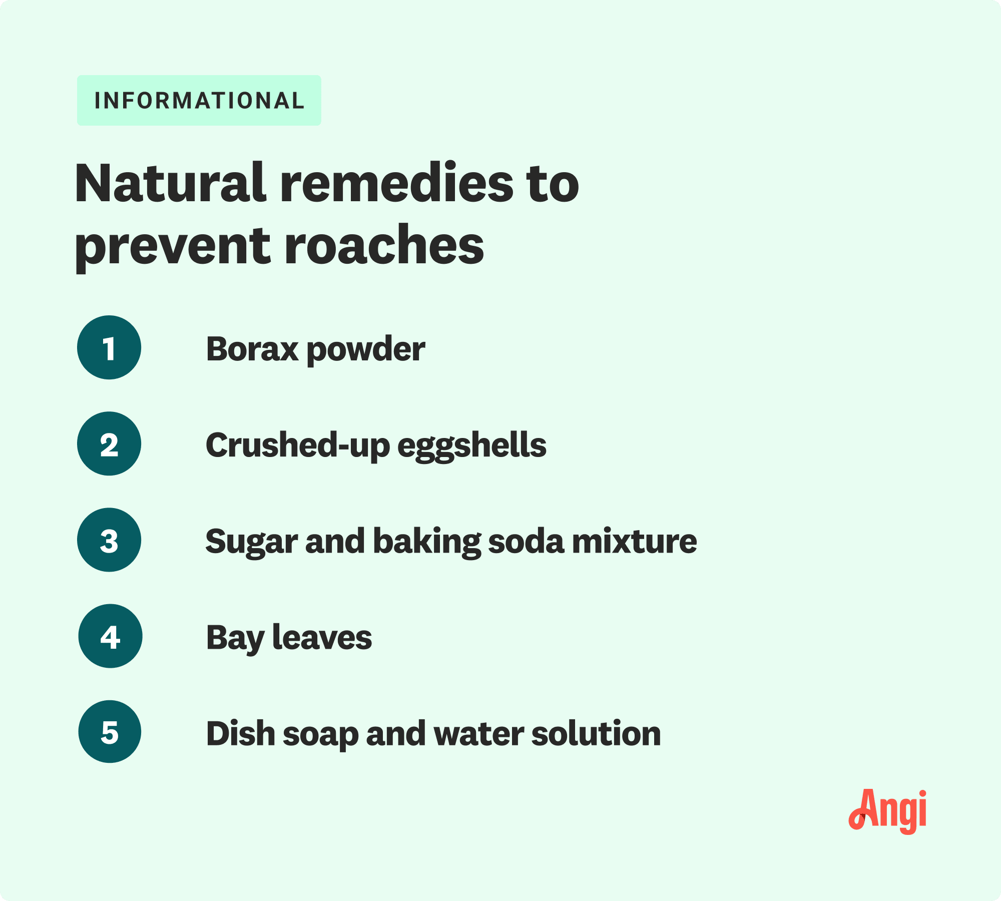 5 natural remedies to prevent roaches, including borax powder and crushed-up eggshells