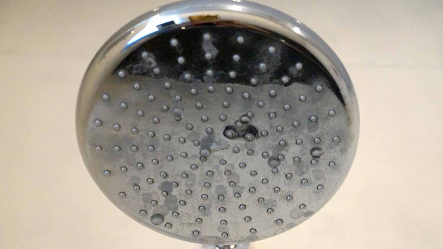 Close-up of a showerhead showing mineral buildup.