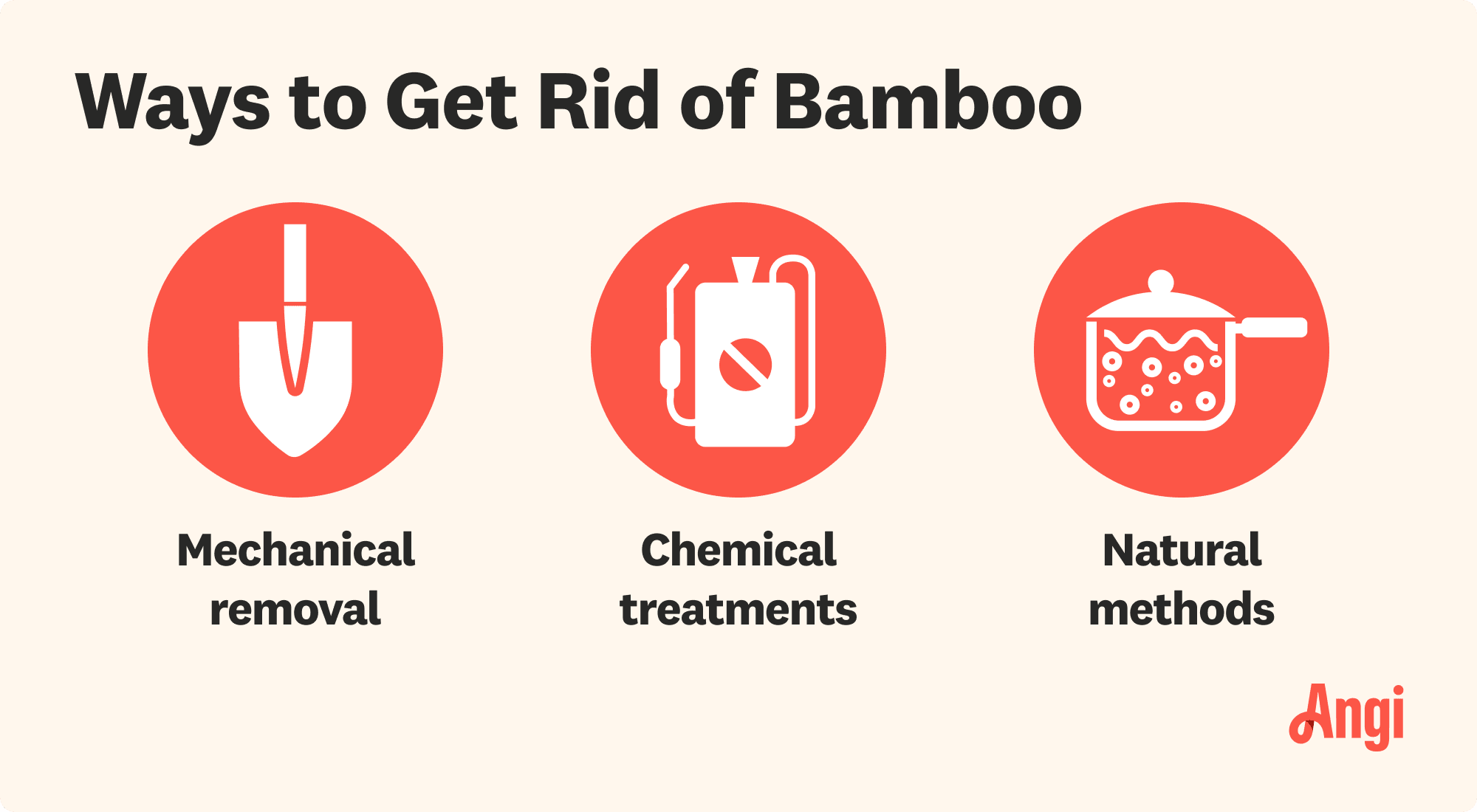 3 ways bamboo is removed, including mechanical removal and chemical treatments