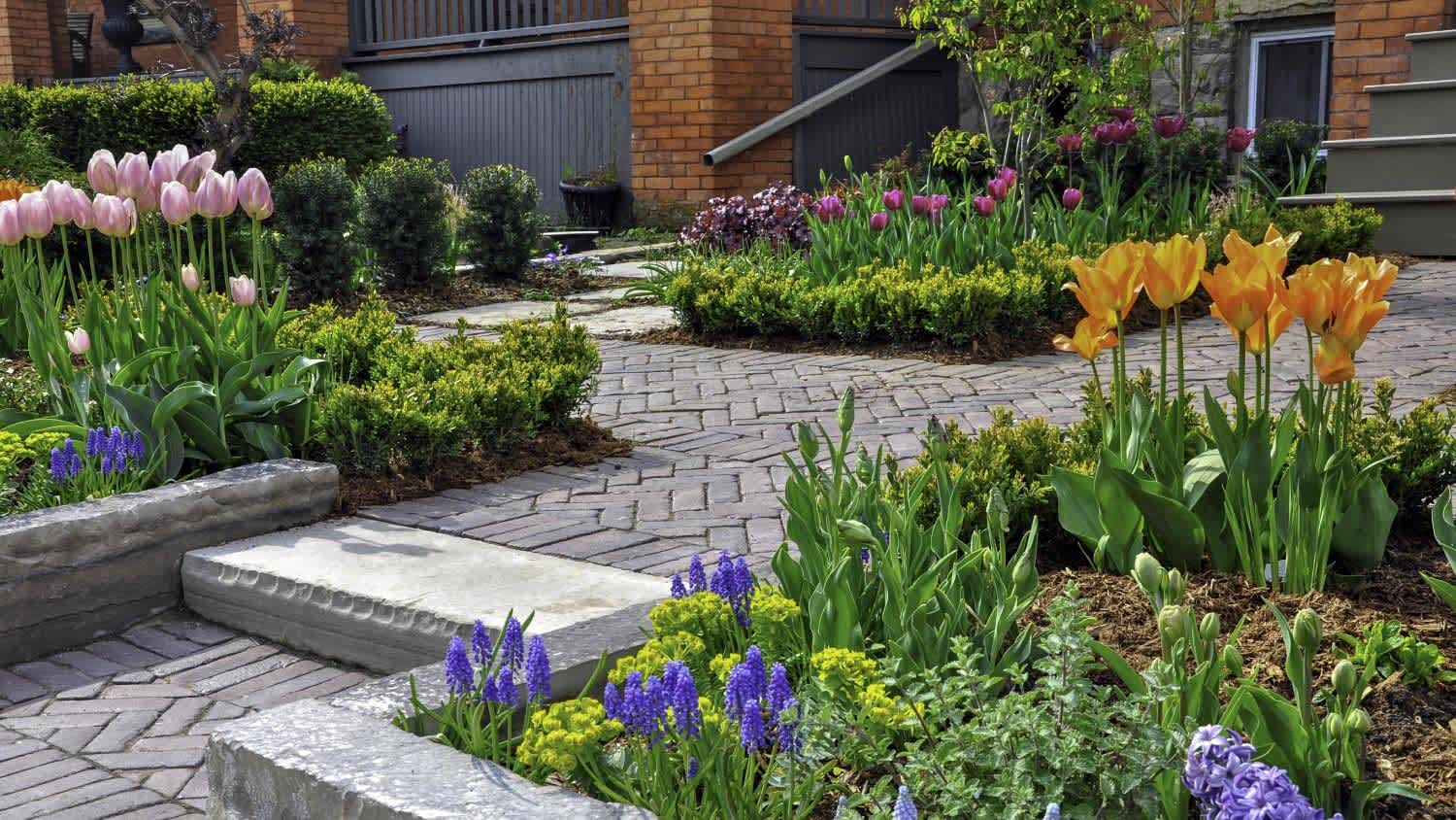An urban front yard spring garde features