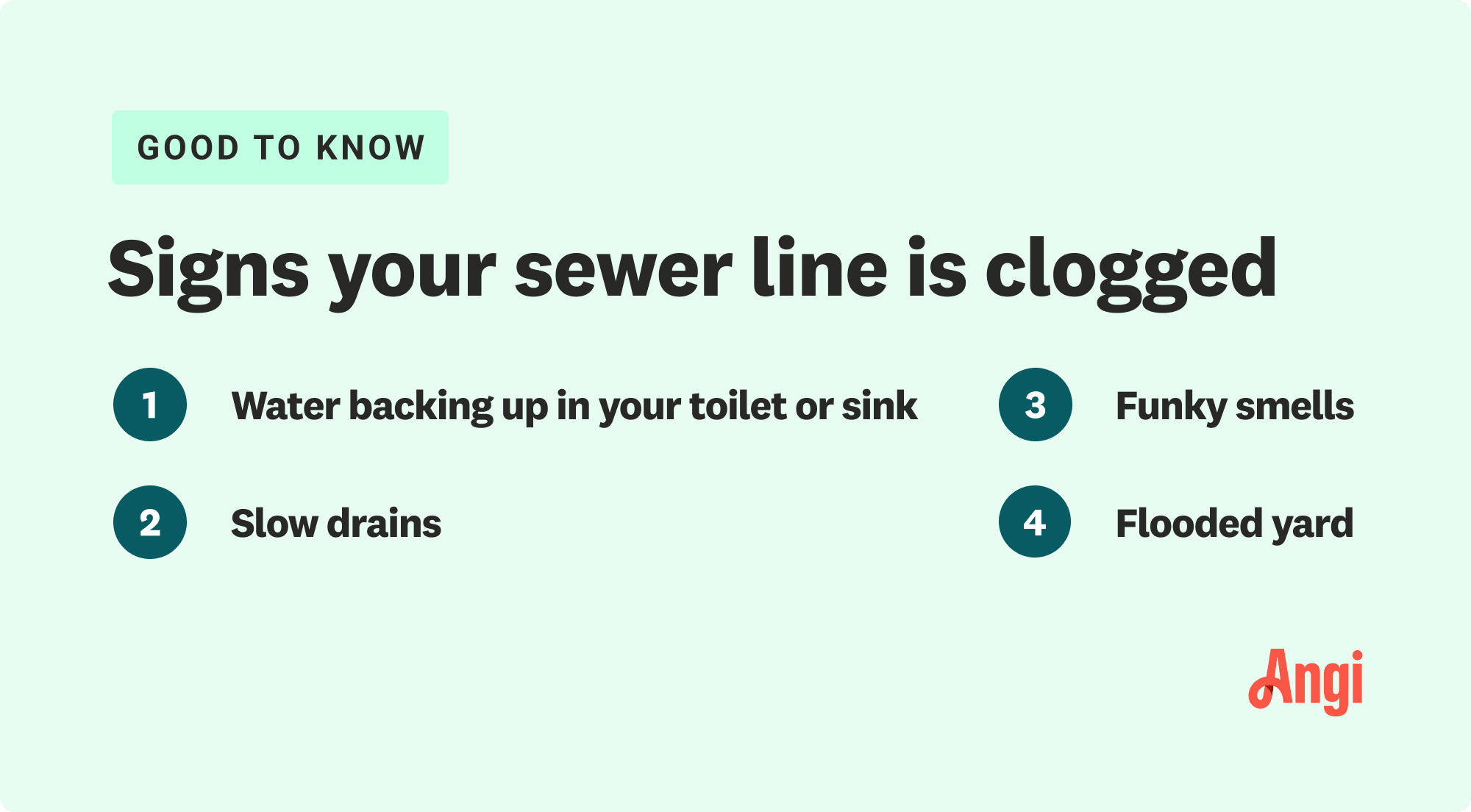 4 signs your sewer line is clogged, including flooded yard and funky smell