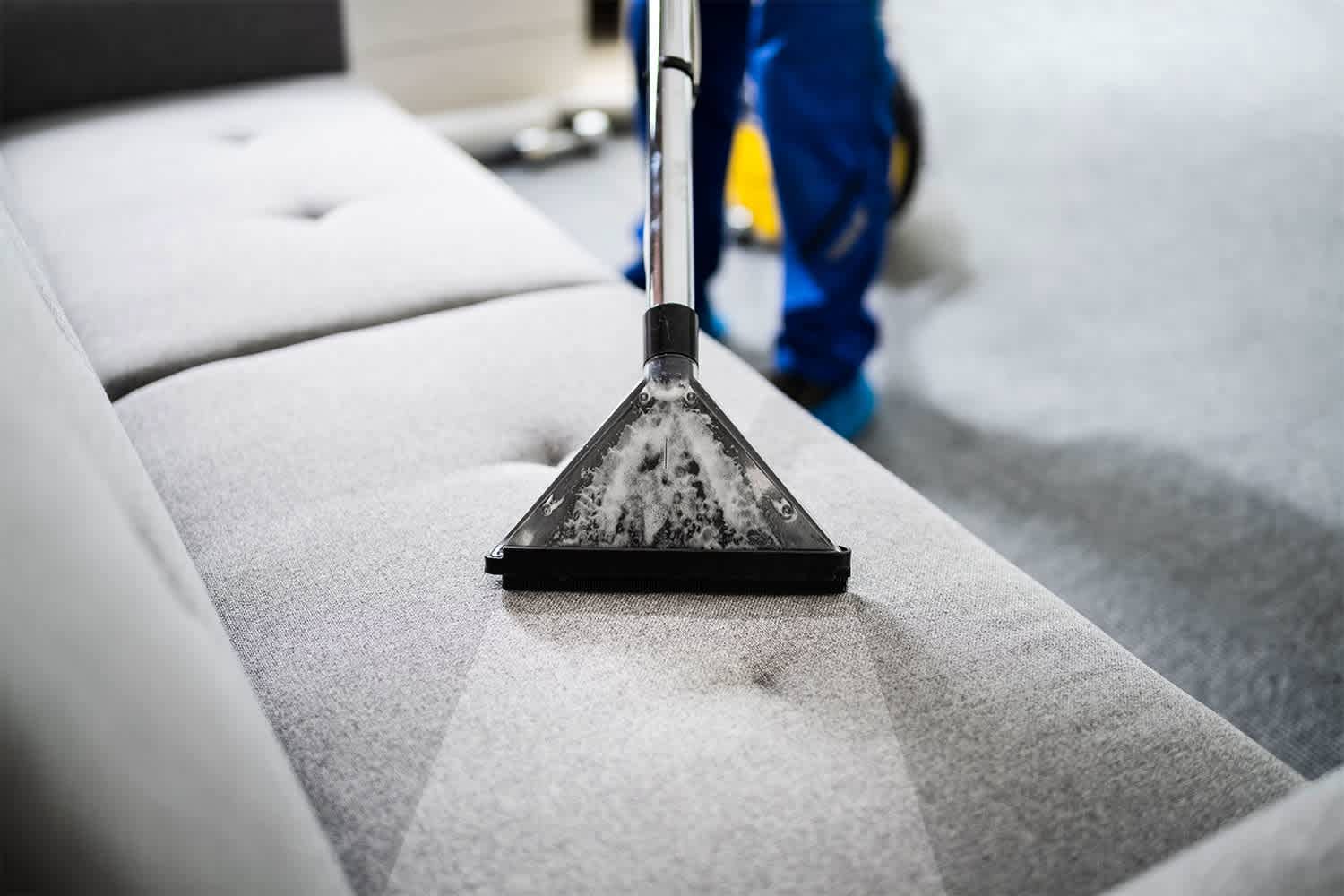 professional sofa cleaning service