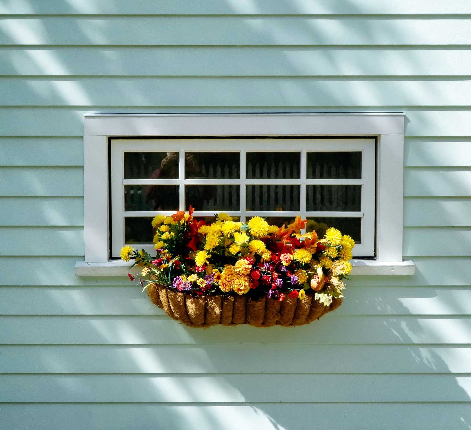 Windowsill planter box with yellow flowers