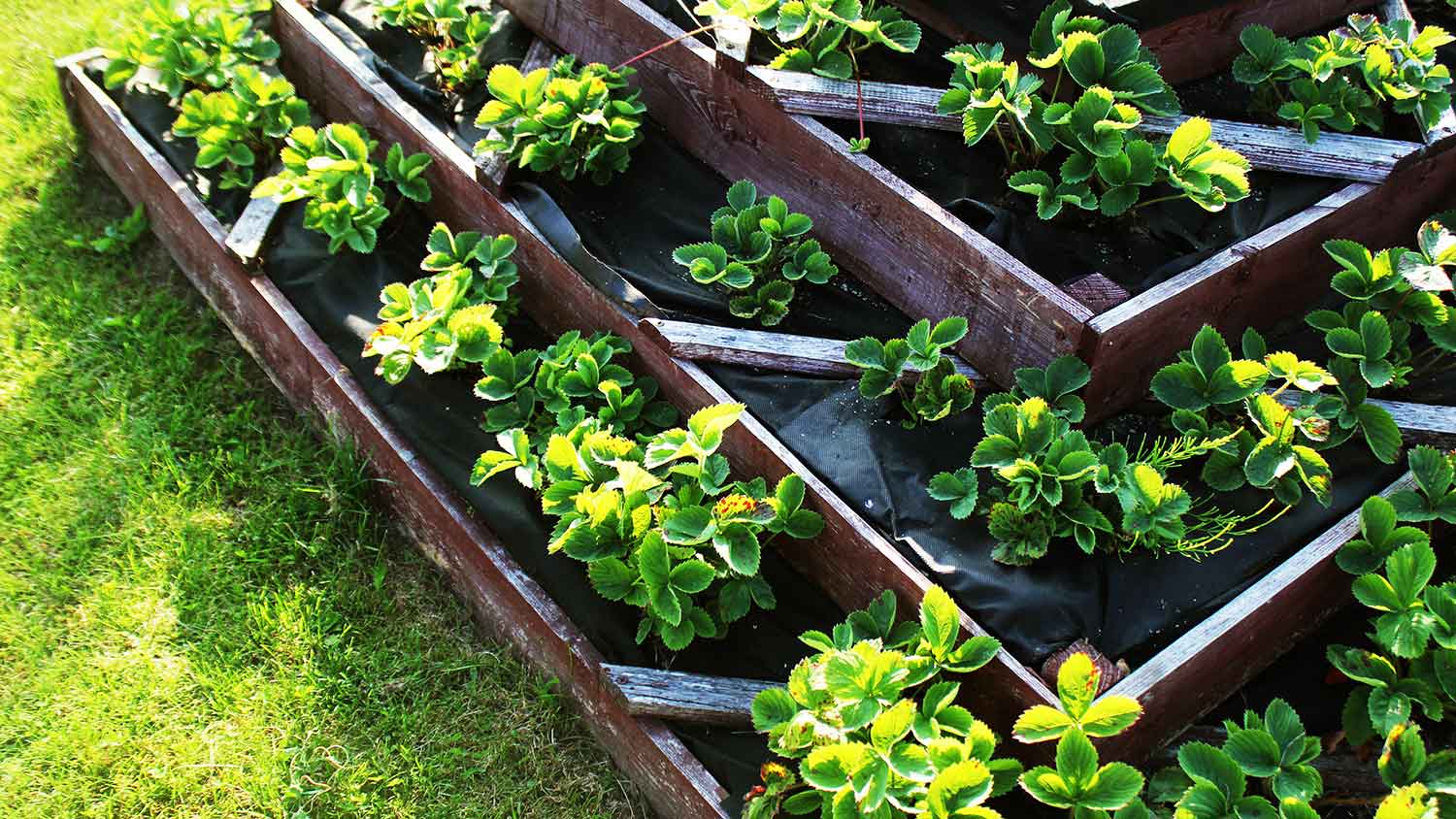 A pyramid raised planter box