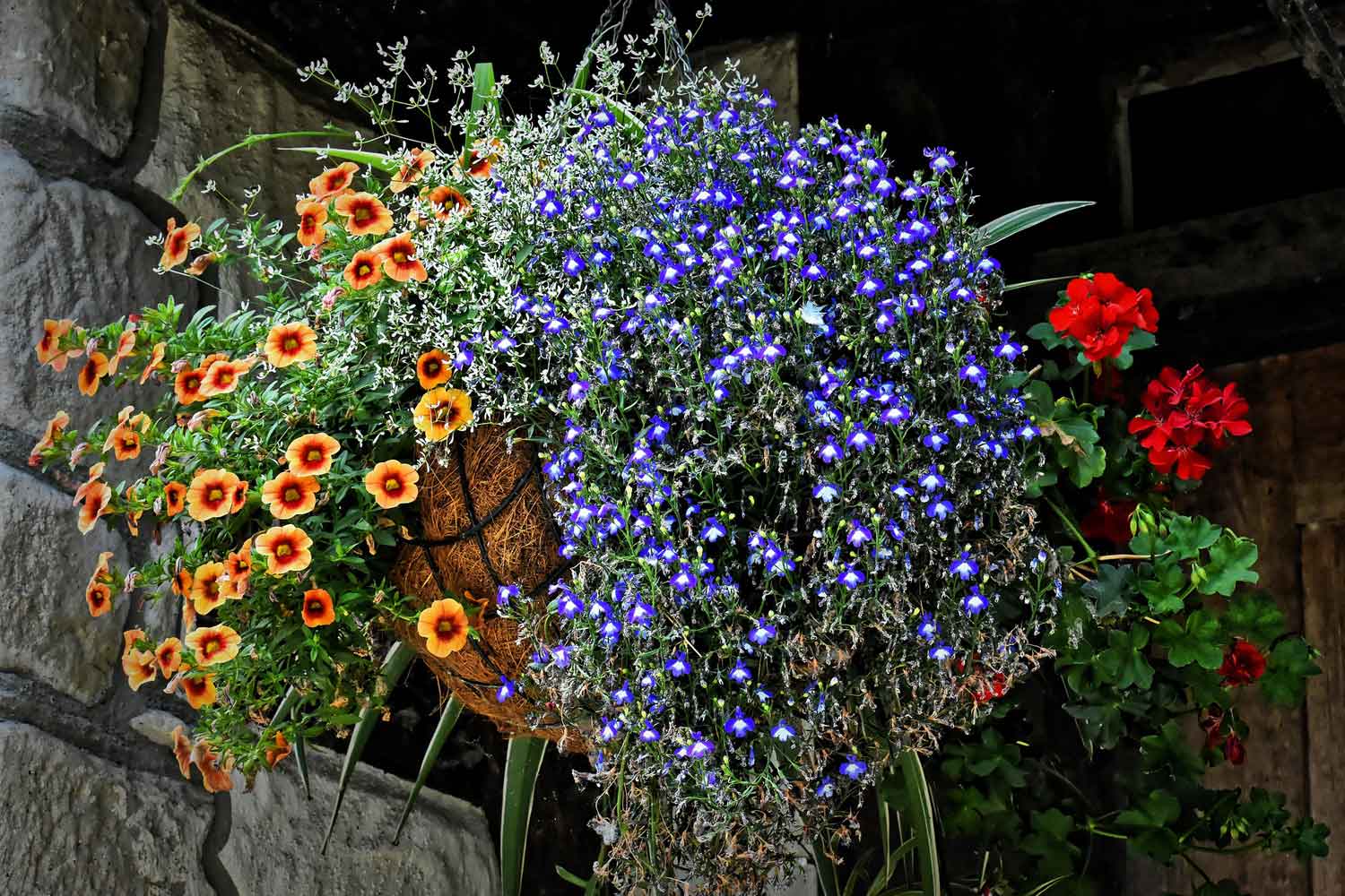 Basket with flowers hanging on a porch