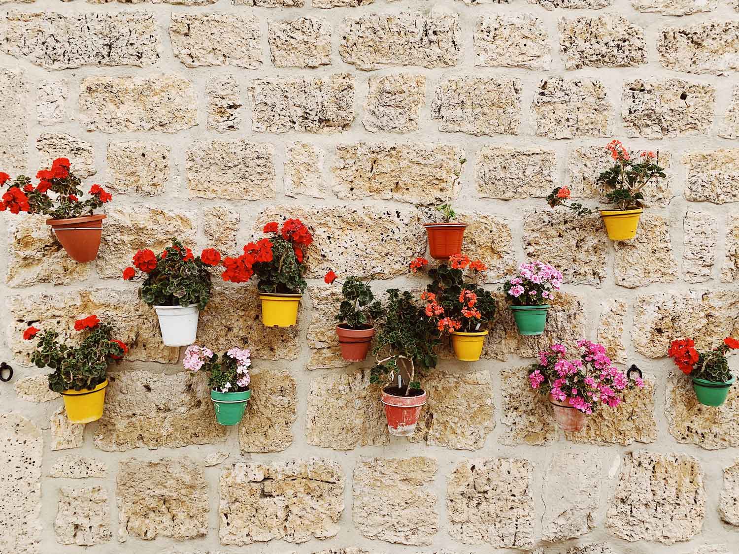 Potted plants mounted on an exterior wall