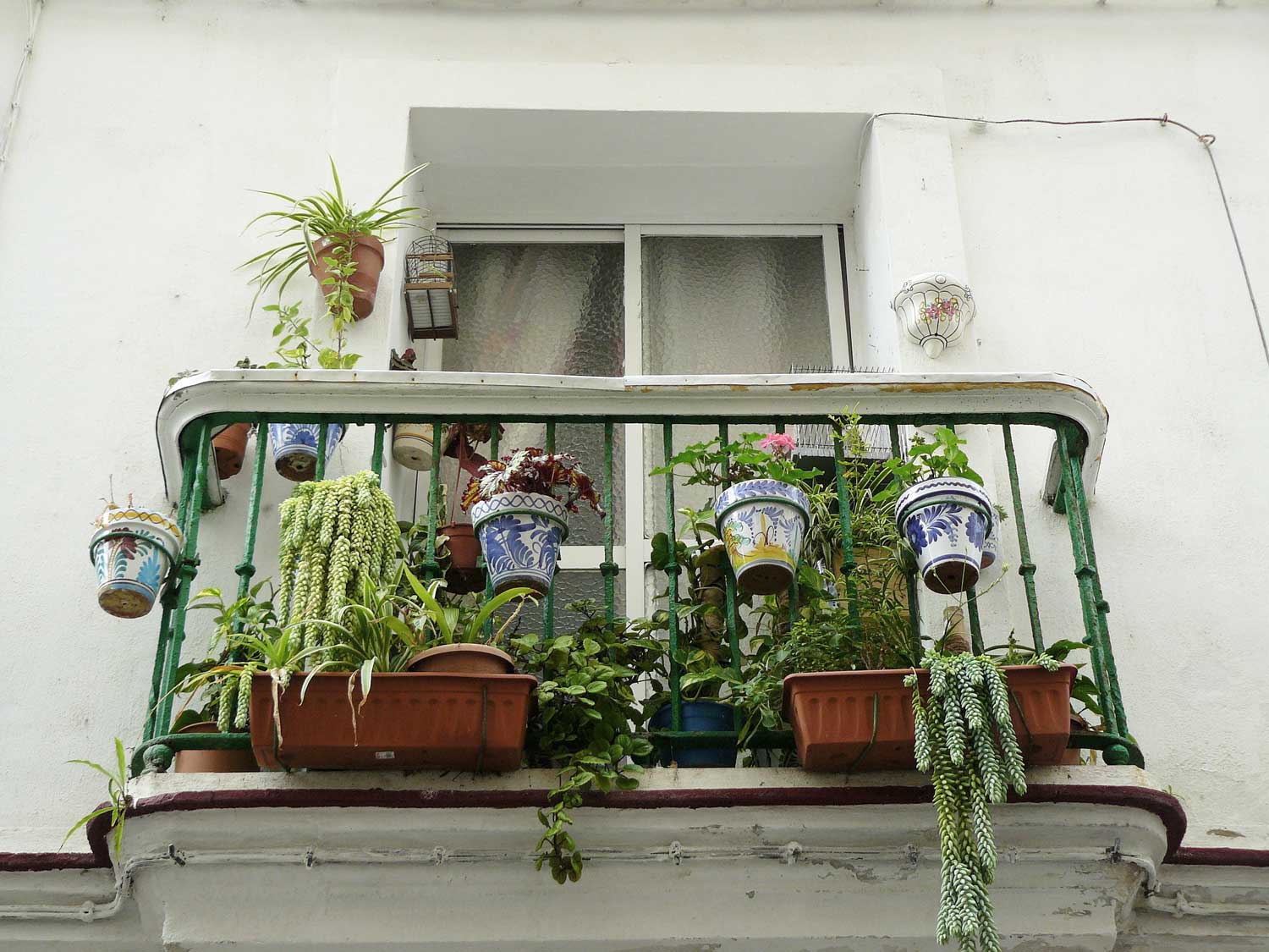 Balcony with various potted plants