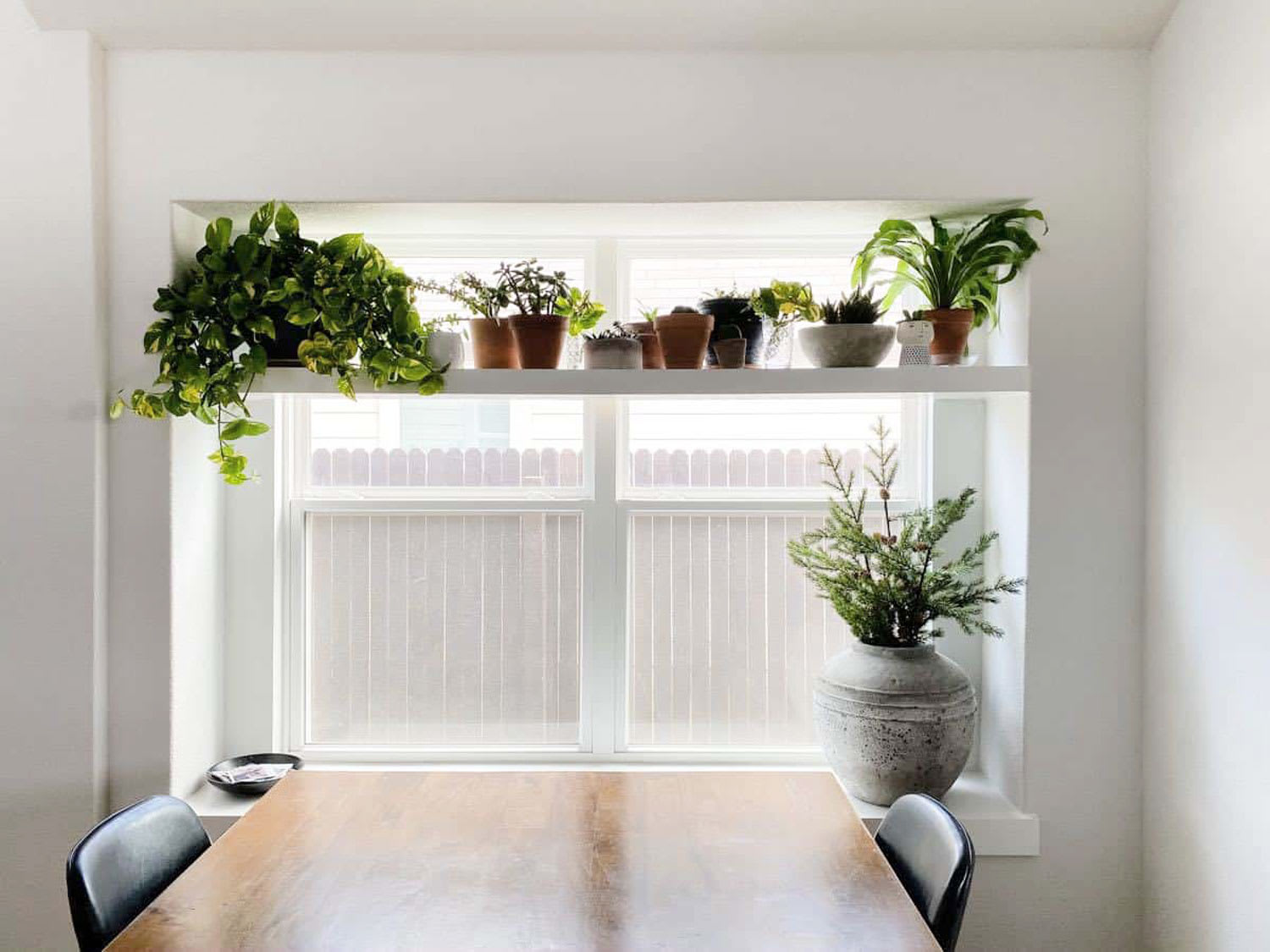 Shelf with potted plants in front of a dining room window