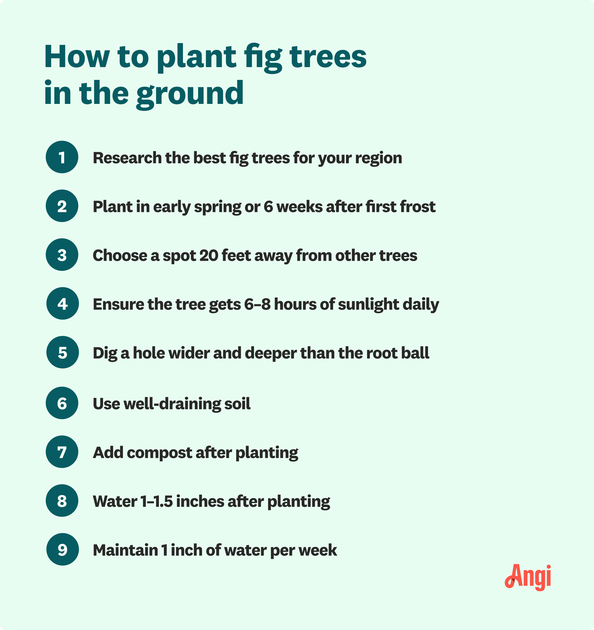 9 tips for planting fig trees, including using well-draining soil and adding compost after planting