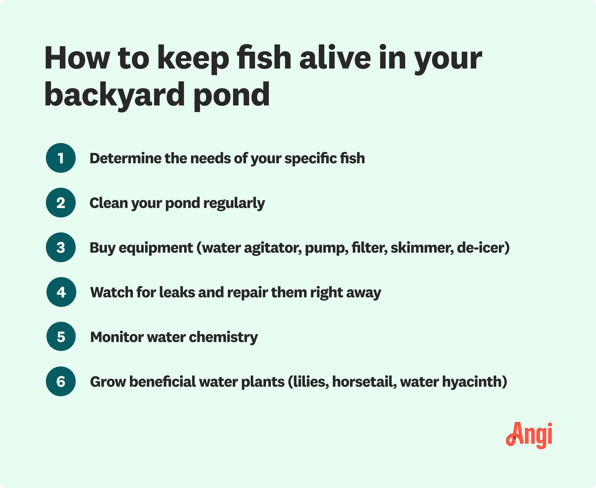 6 tips to keep your fish alive in a backyard pond, including monitoring water chemistry