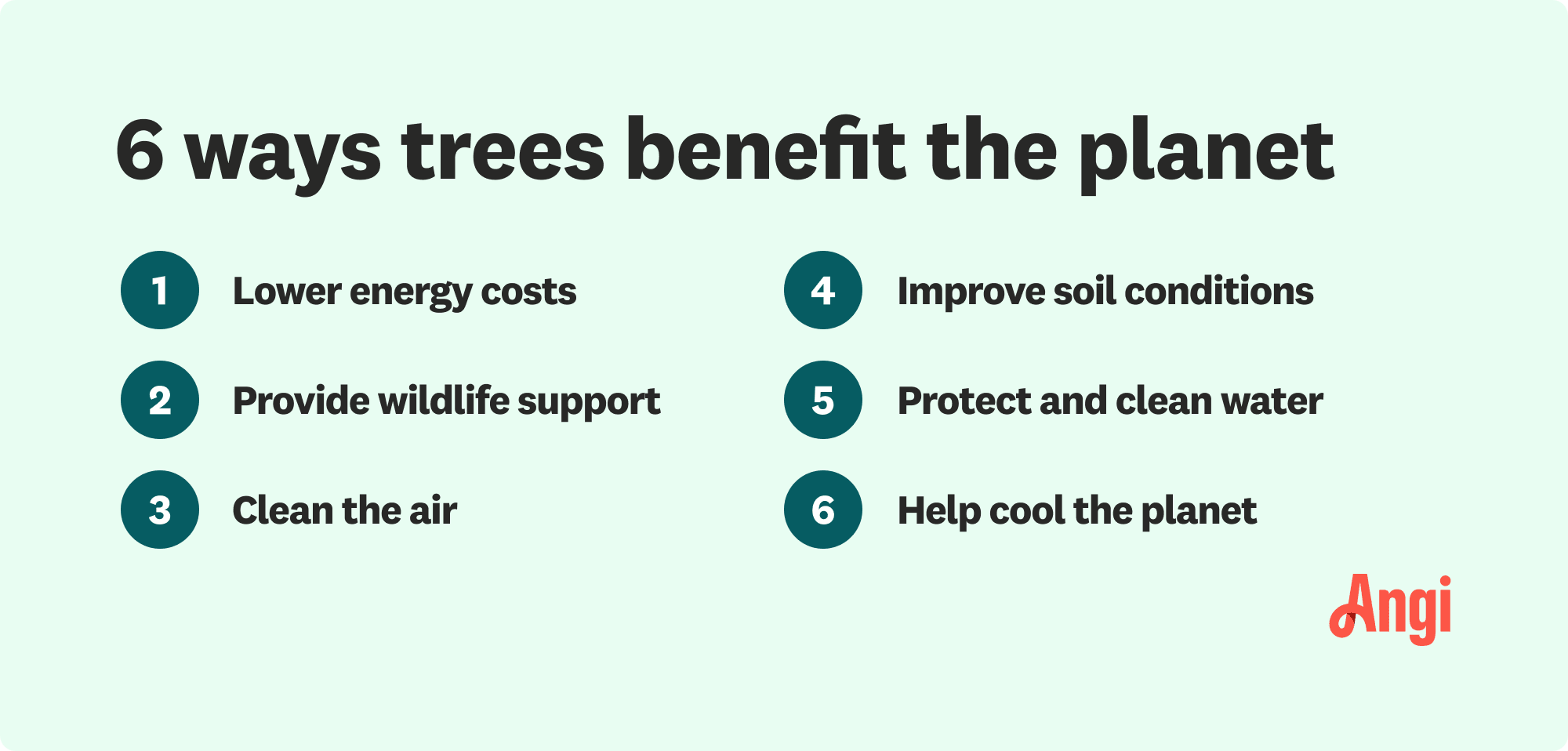 6 ways trees benefit the planet, including lowering energy costs and cleaning the air