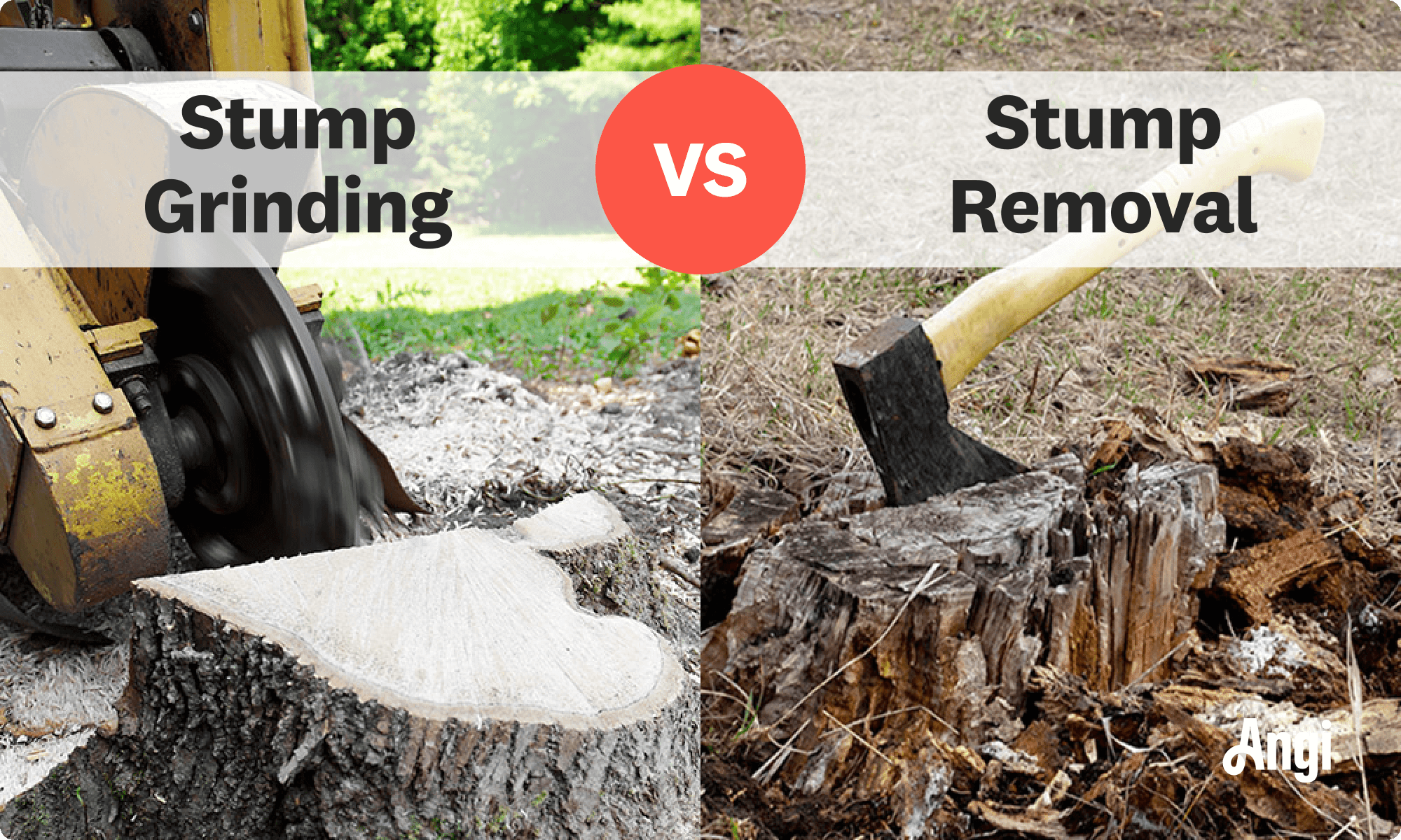 Stump grinding versus stump removal visual comparison