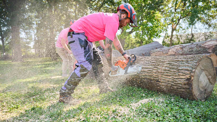 Tree worker in safety helmet cuts a large tree log with a chainsaw as sawdust flies in a sunny wooded area.