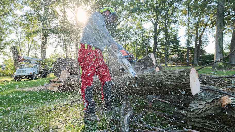 Person in safety gear cuts fallen tree trunk with a chainsaw as wood chips fly through the air on a sunny day in a wooded area.