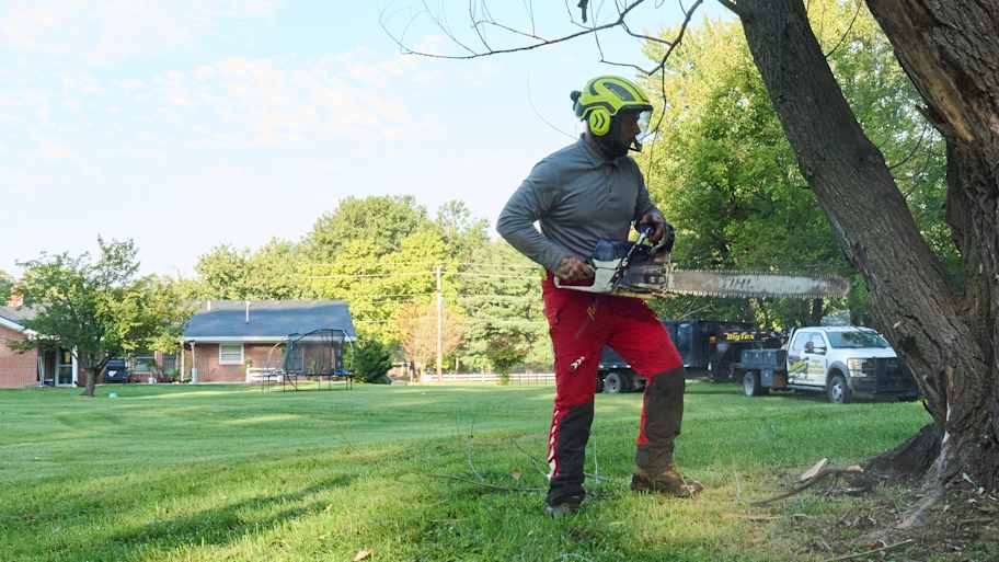 Worker in helmet and red safety pants holds a chainsaw while preparing to cut a leaning tree in a residential yard.