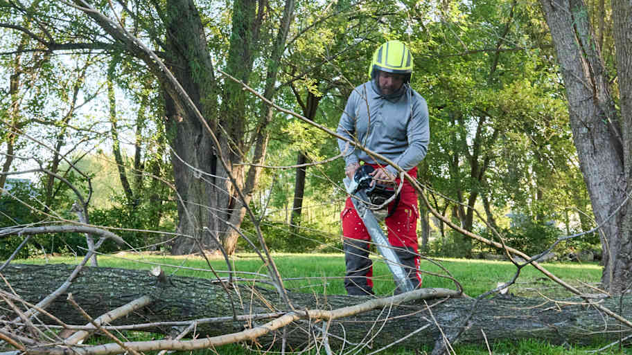 Tree worker in safety helmet uses a chainsaw to cut small branches off a fallen tree in a wooded grassy area.