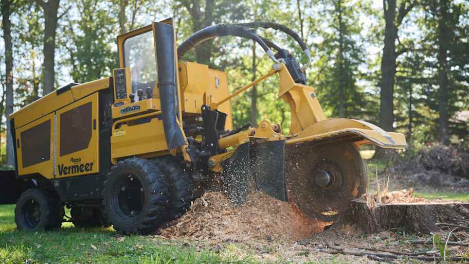 Yellow stump grinder grinds down a large tree stump, spraying wood chips across a grassy area surrounded by trees.