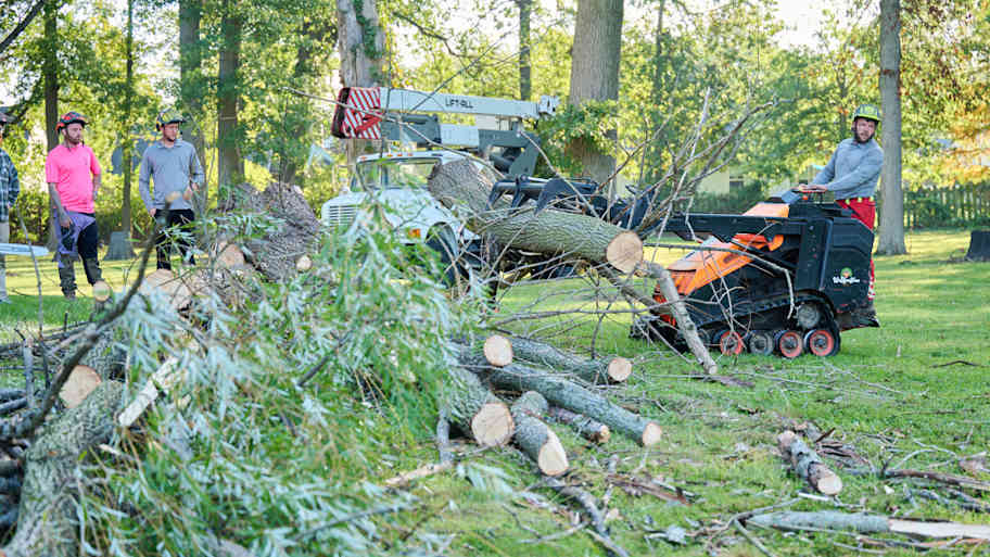 Crew works on clearing a large fallen tree using a mini skid steer while others stand nearby in a grassy area with scattered branches.