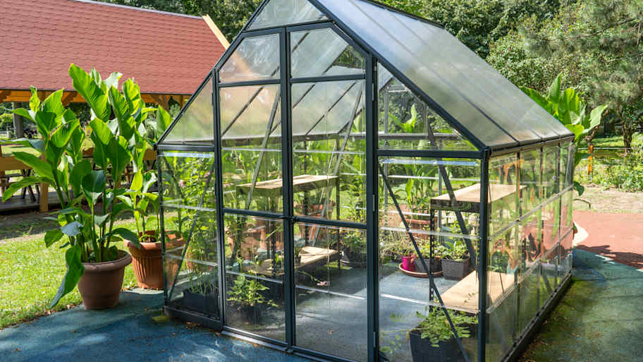 A compact glass greenhouse sits in a garden, providing an ideal environment for growing flowers and vegetables, showcasing greenhouse functionality.