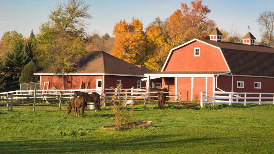 Horse ranch with pasture