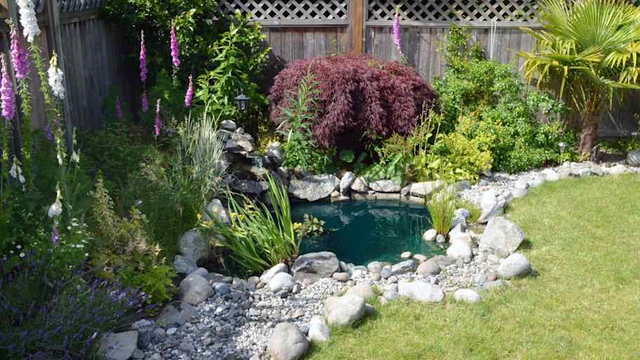A homemade backyard pond