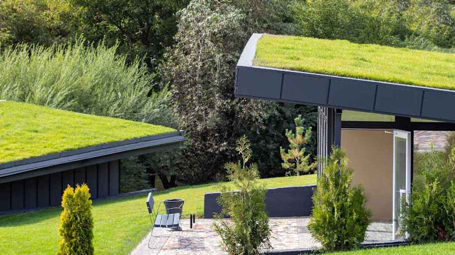 Modern houses with green roofs