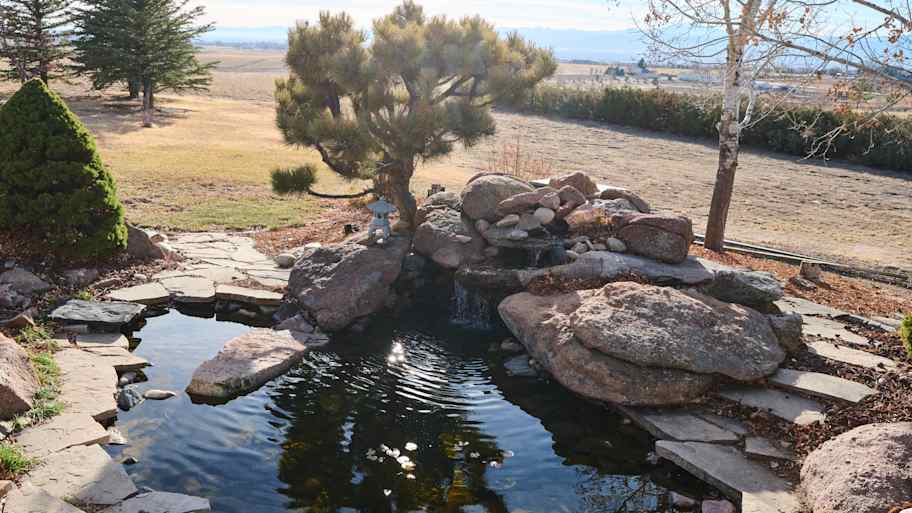 Backyard pond with stones.