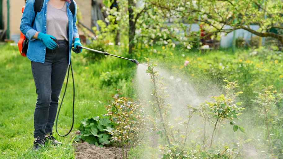 Professional spraying pesticide in the yard 