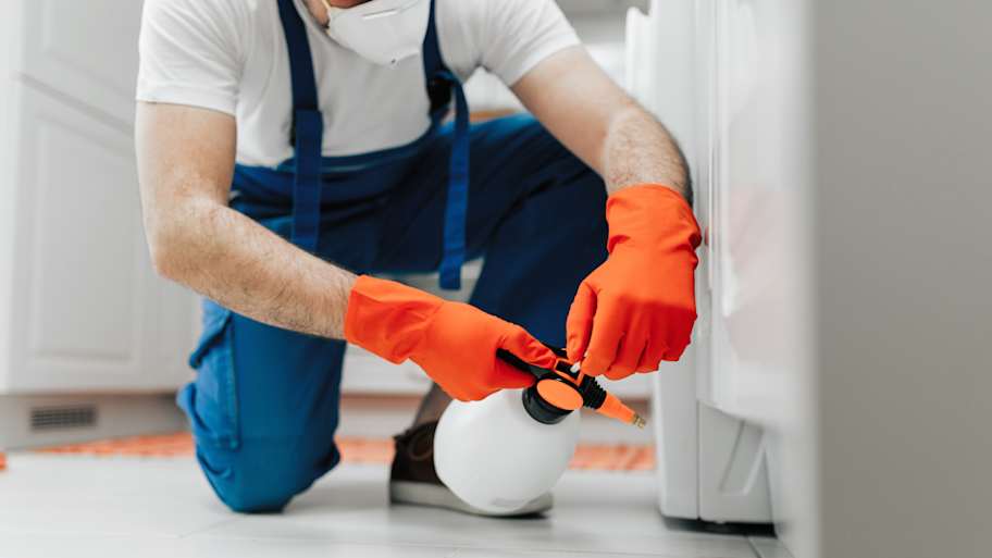 A professional spraying insecticides
