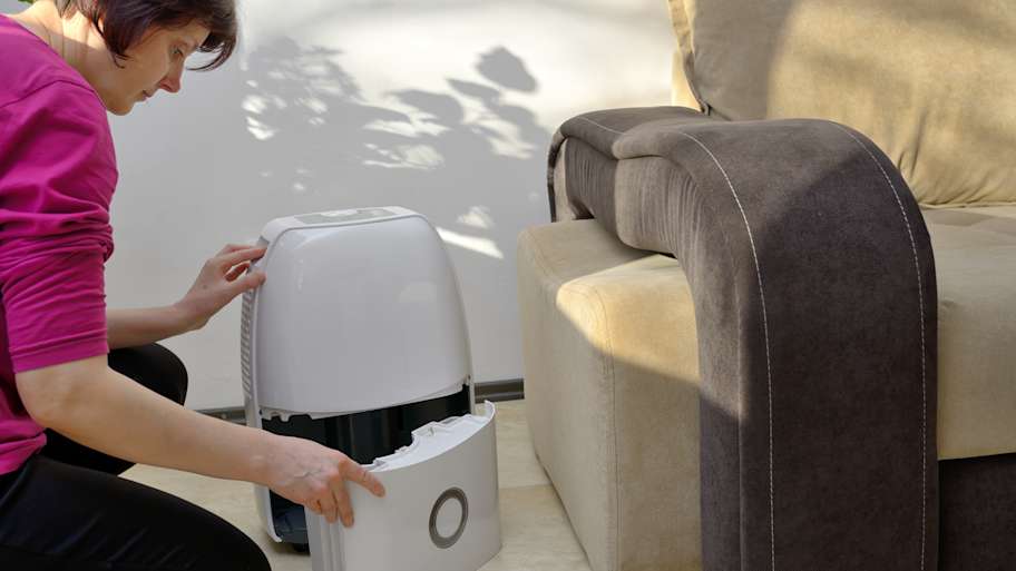 Woman setting up a humidifier in the living room 