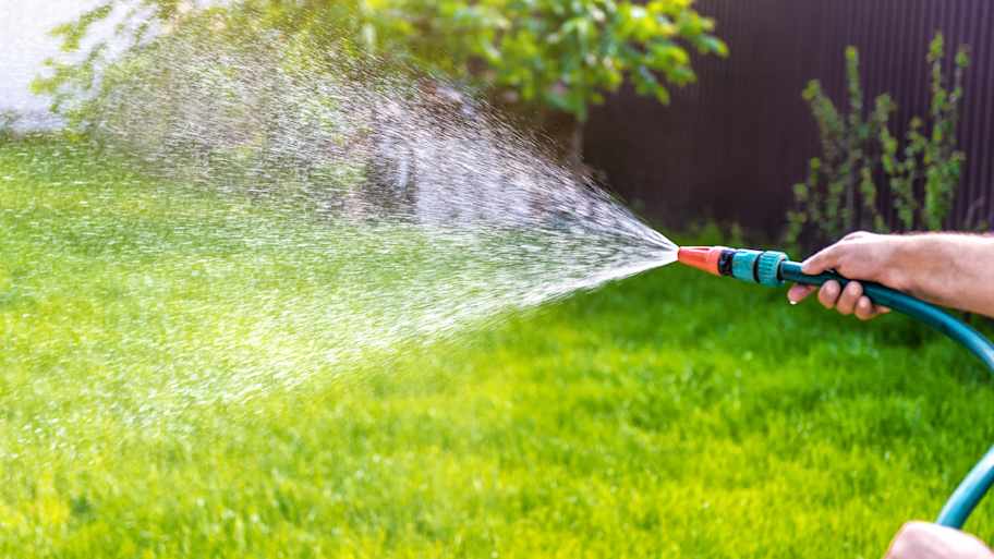 Gardener watering grass