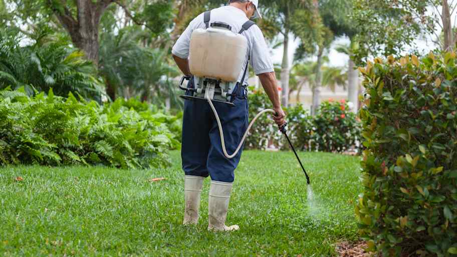 Pest control technician with portable spray