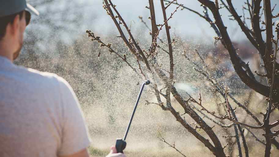 A man protecting plants from earwigs