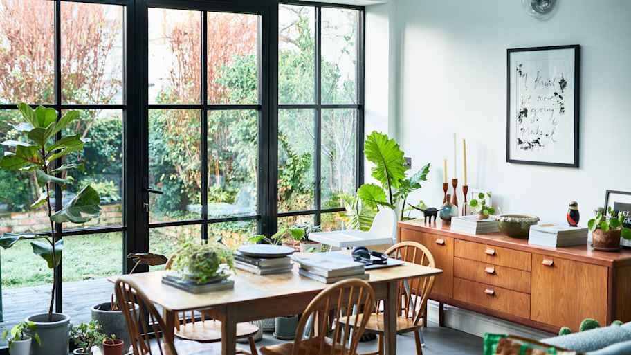 A bright living  room with houseplants 