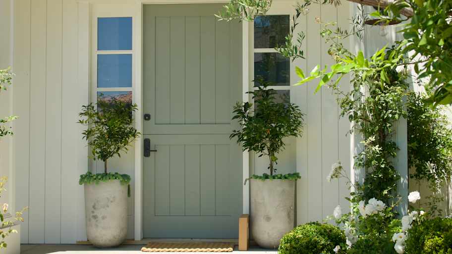 Green Dutch door and potted plants