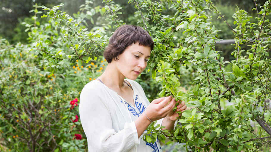A woman inspecting the leaves of a plant 