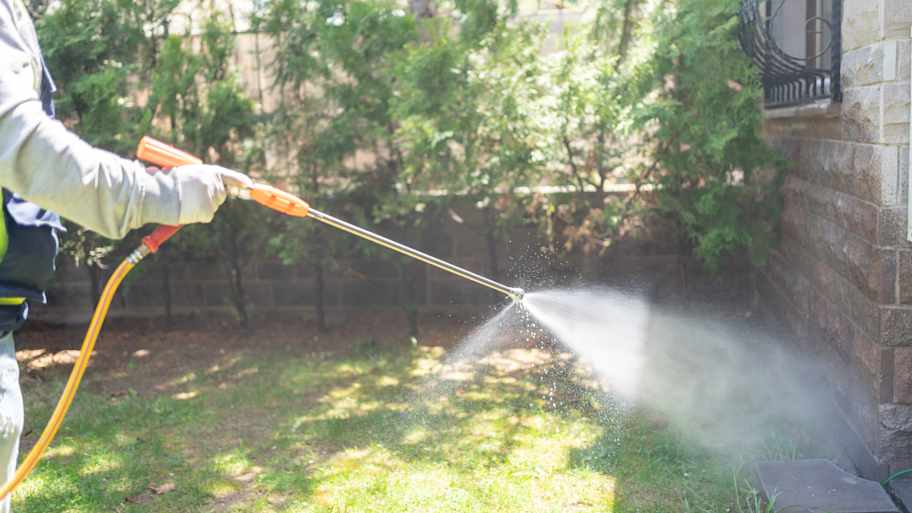 An exterminator spraying pesticide in the garden