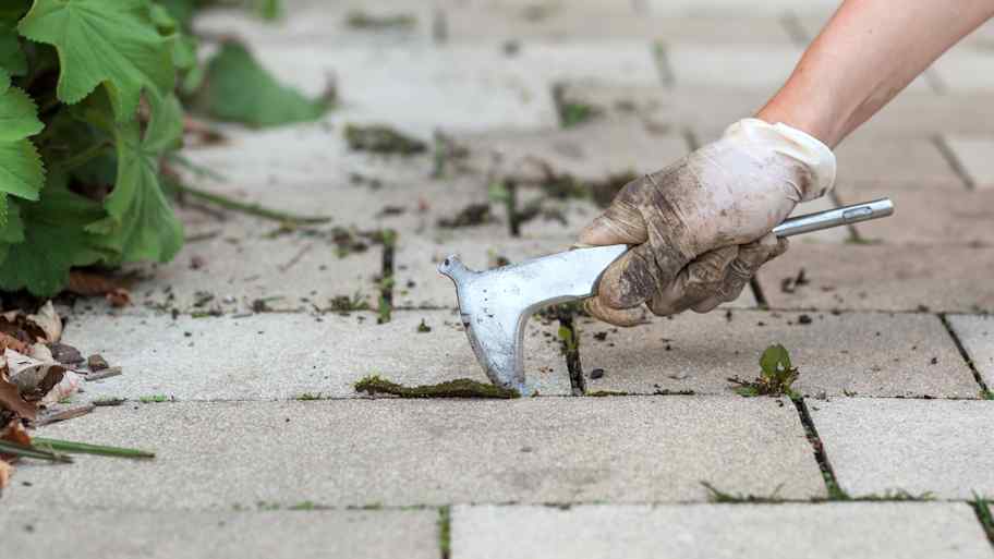 Using tool to clean pavers