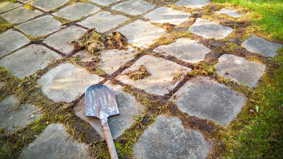 Removing grass between paving tiles
