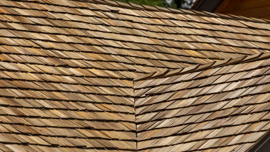 Close-up of a wooden roof