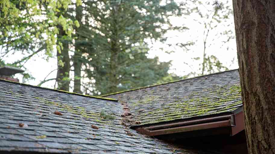 A roof lightly covered with moss
