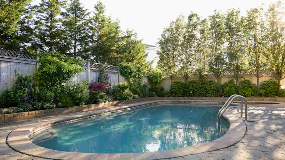 Swimming pool and trees in backyard
