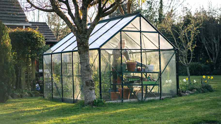 Gardener growing plants in a glass greenhouse