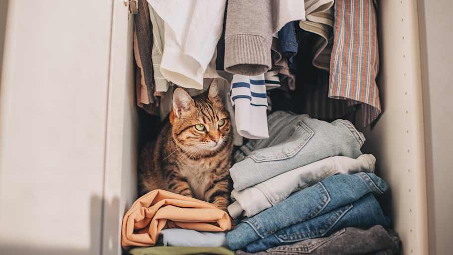 Pile of clothes in closet