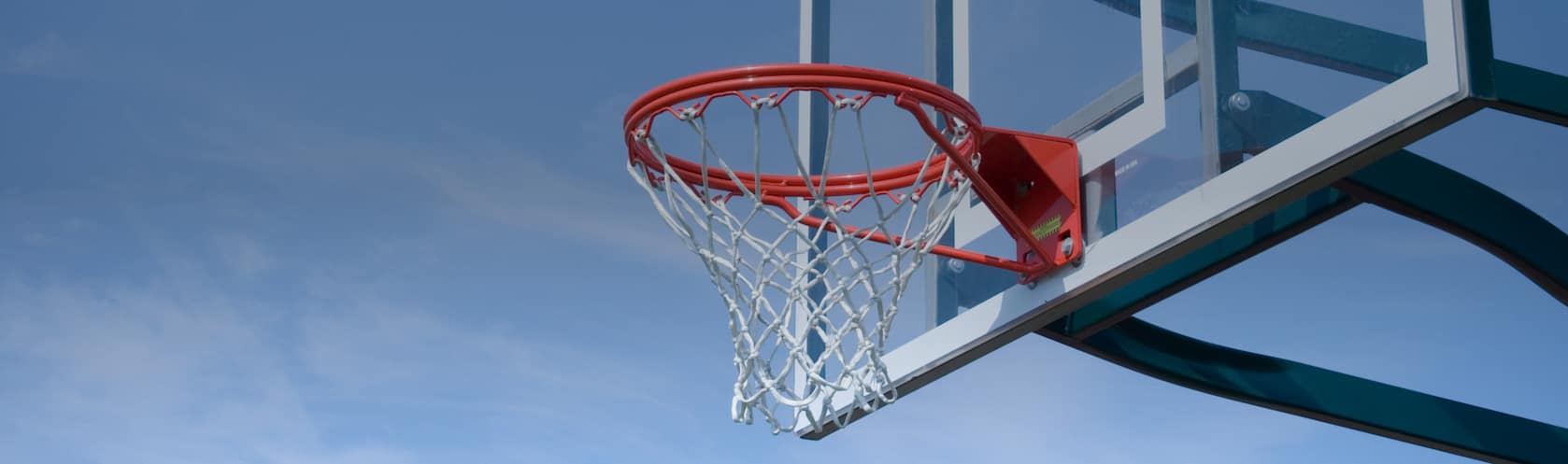 Top-rated basketball goal service pros.